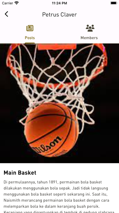 CasaLuiGi screenshot